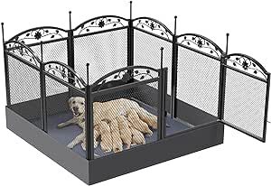 Should I Crate Train My Puppy? Early Crate Training