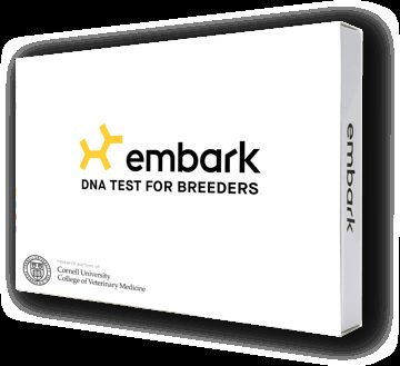 Health Testing, OFA | Responsible Breeding of Border Collies