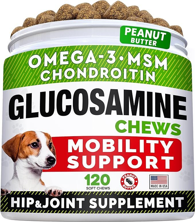 Best Vitamins and Supplements for your Border Collie
