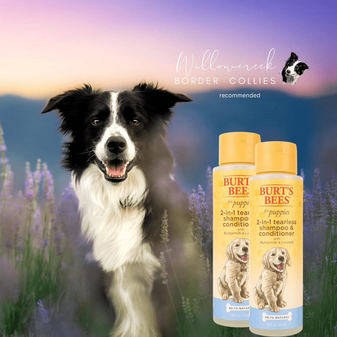 2 in 1 Dog Shampoo & Conditioner