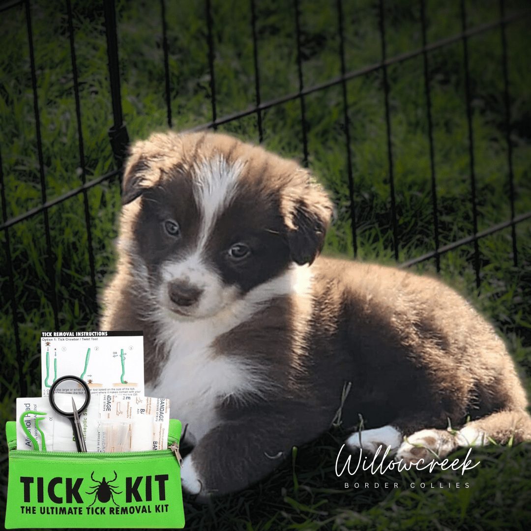 Tick Removal Kits