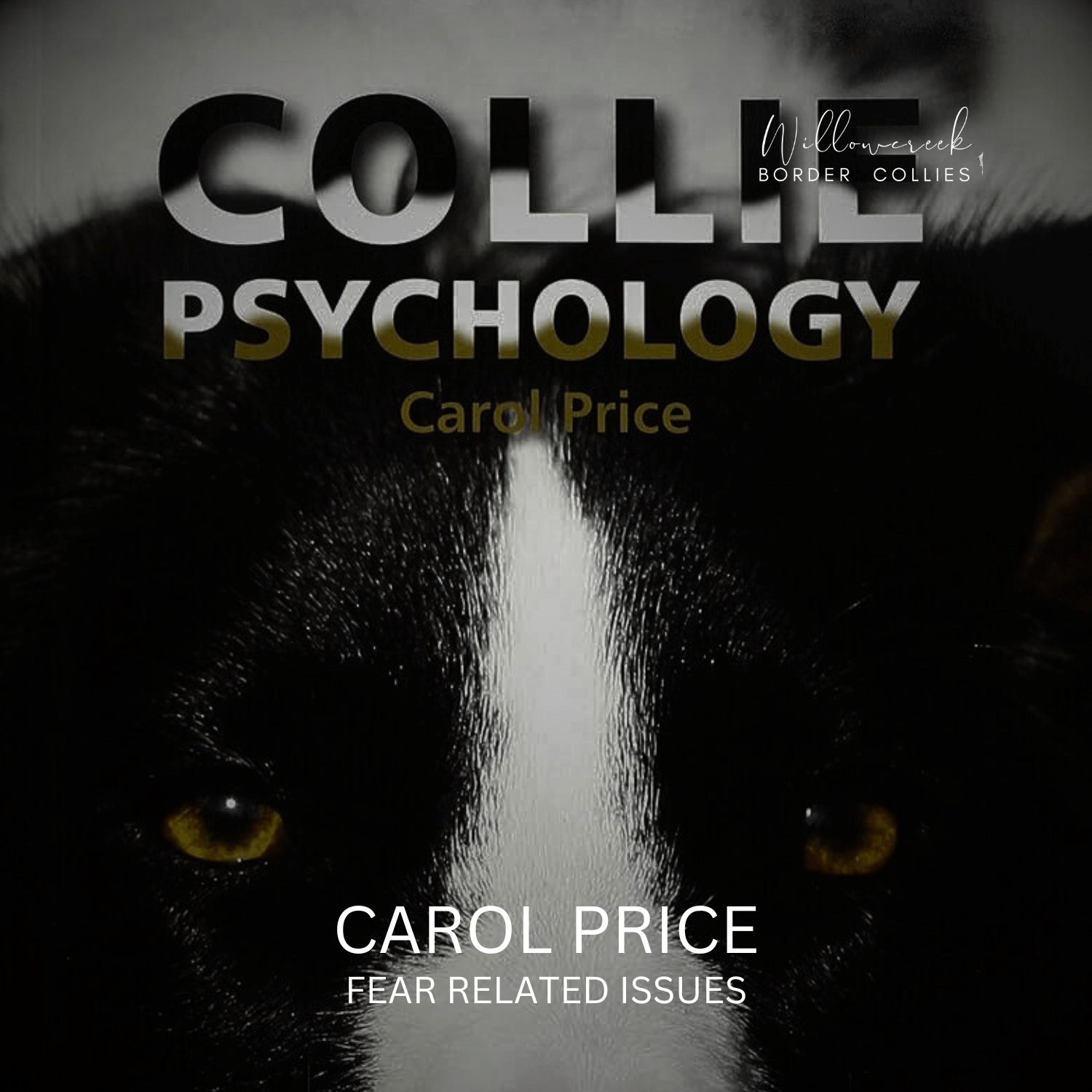 BREED BEHAVIOUR: FEAR AND FEAR RELATED ISSUES IN THE BORDER COLLIE