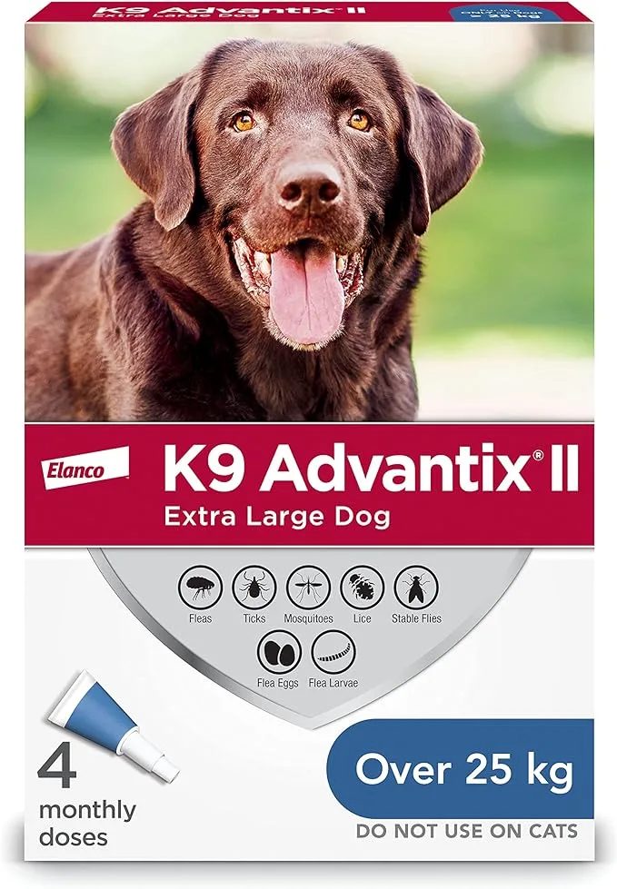 Flea and Tick Medicines: What is the best option?
