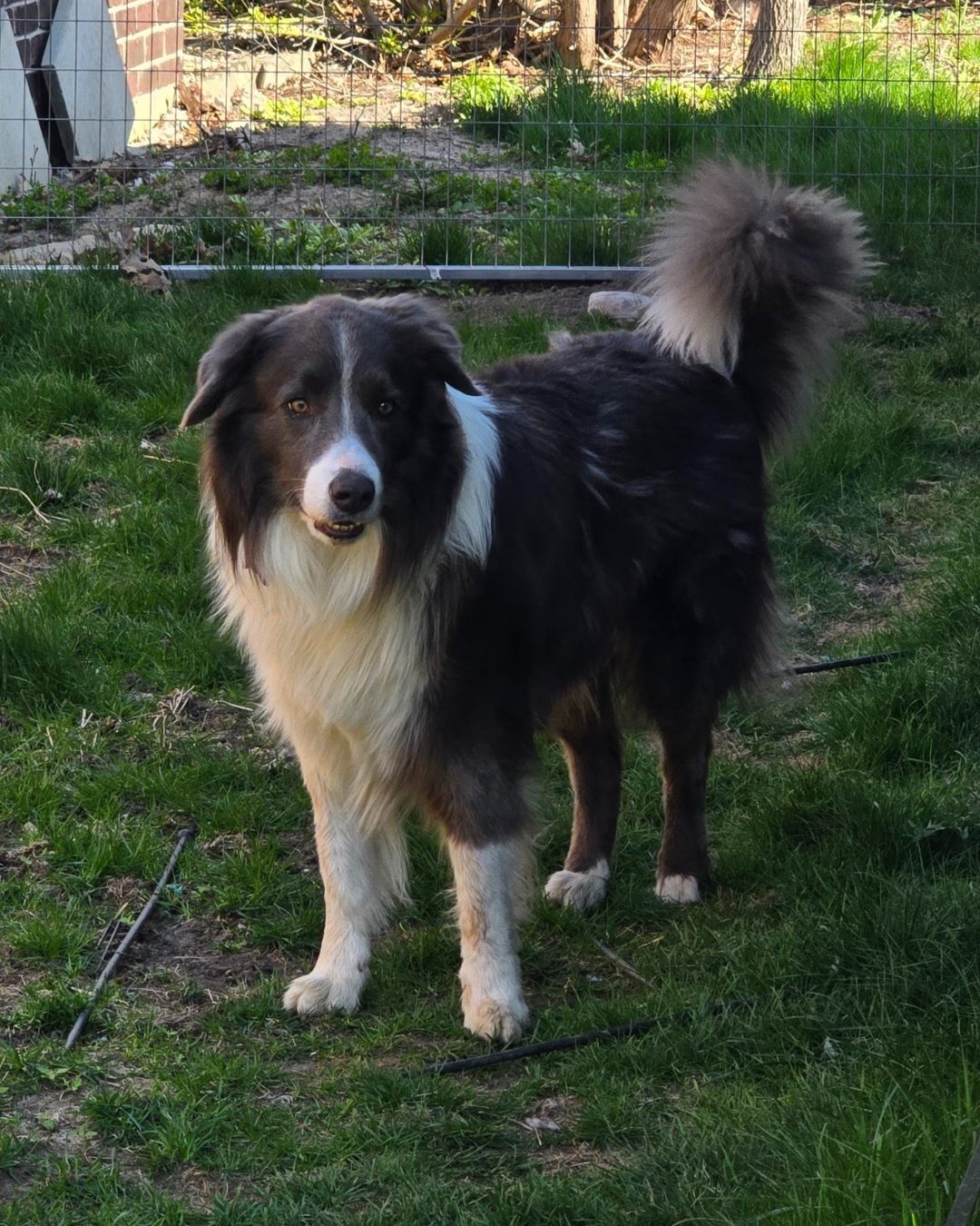 Jax
