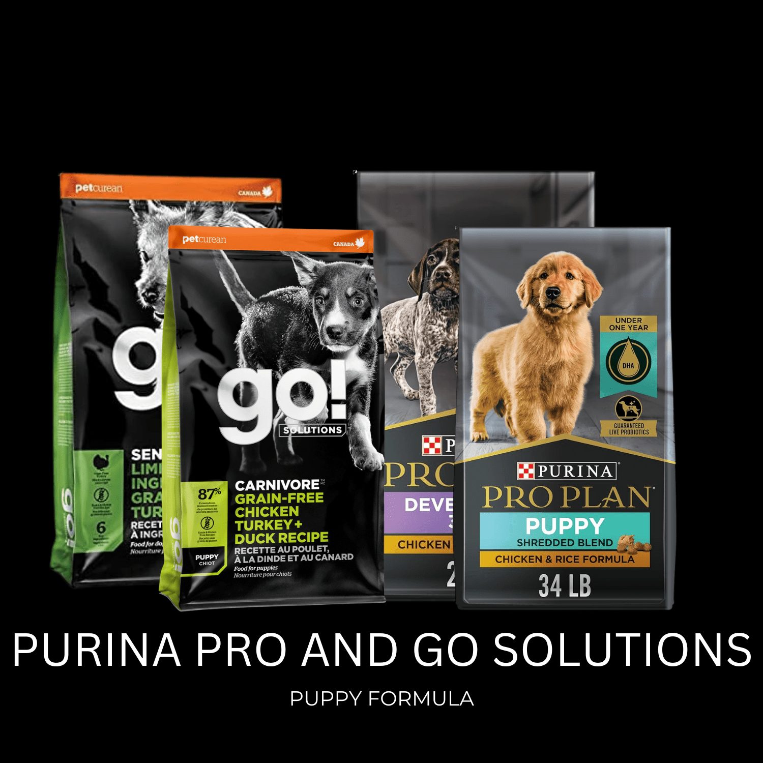 Kibbles and brand name options for your puppy
