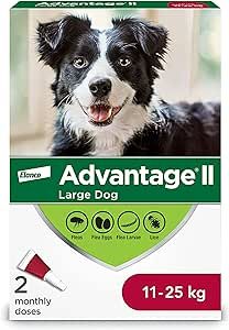 Flea and Tick Medicines: What is the best option?