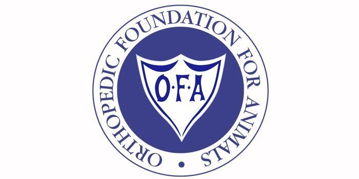 Health Testing, OFA | Responsible Breeding of Border Collies