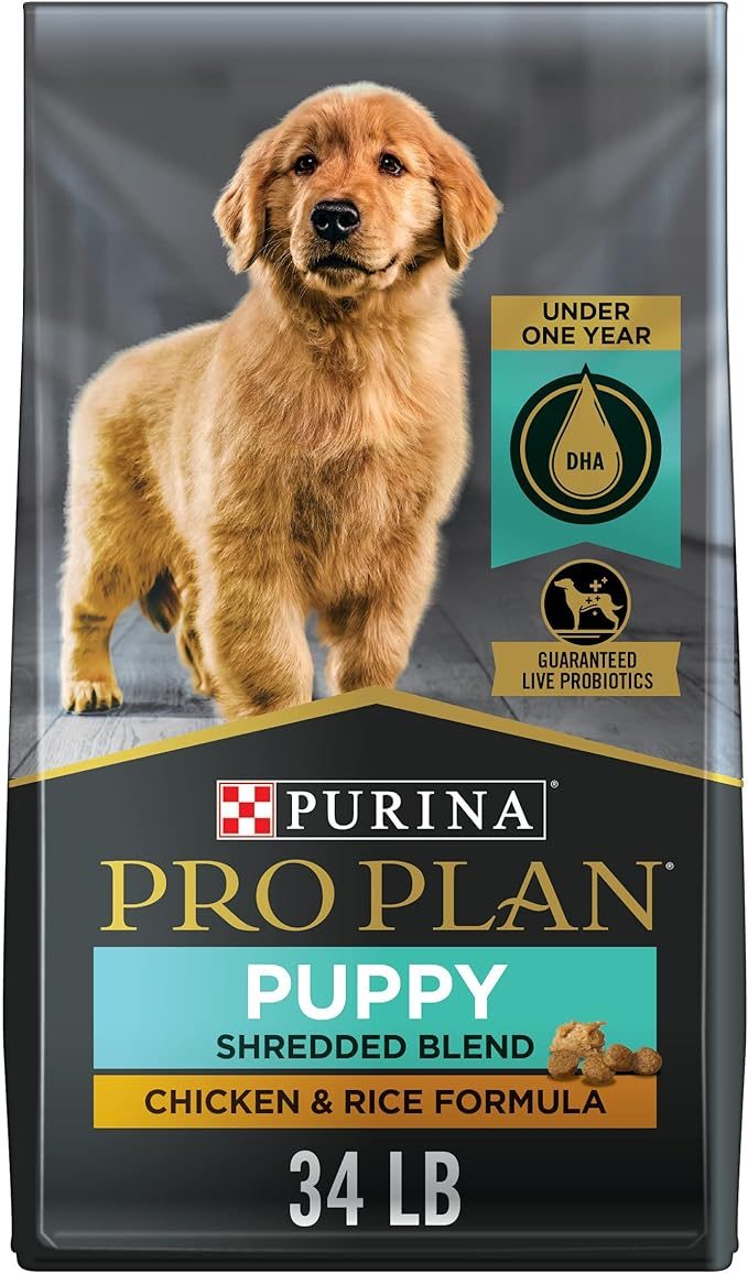 Kibbles and brand name options for your puppy