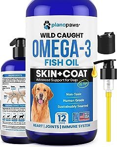 OMEGA-3 & DHA, is it good for dogs?
