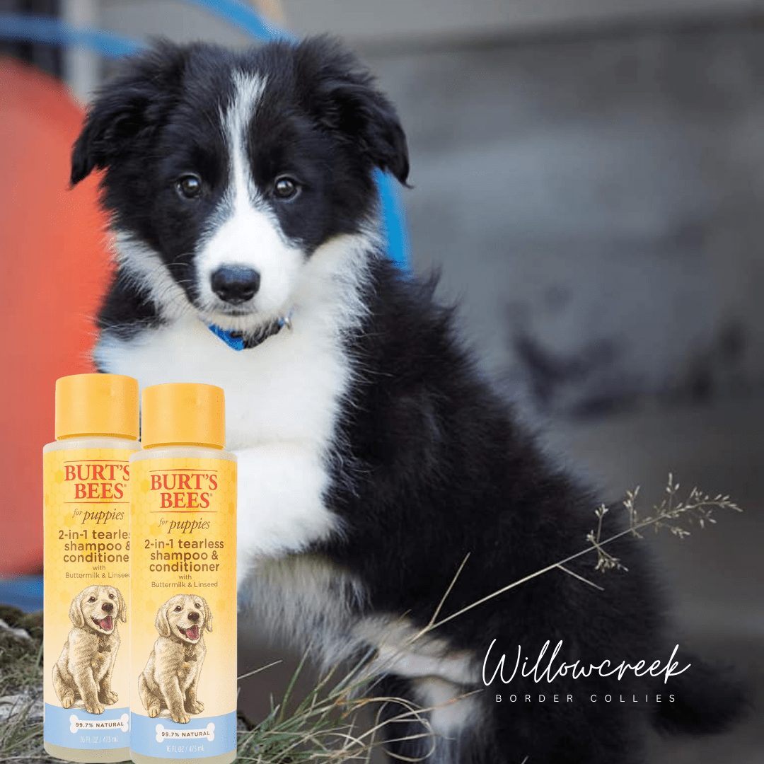 2 in 1 Dog Shampoo & Conditioner