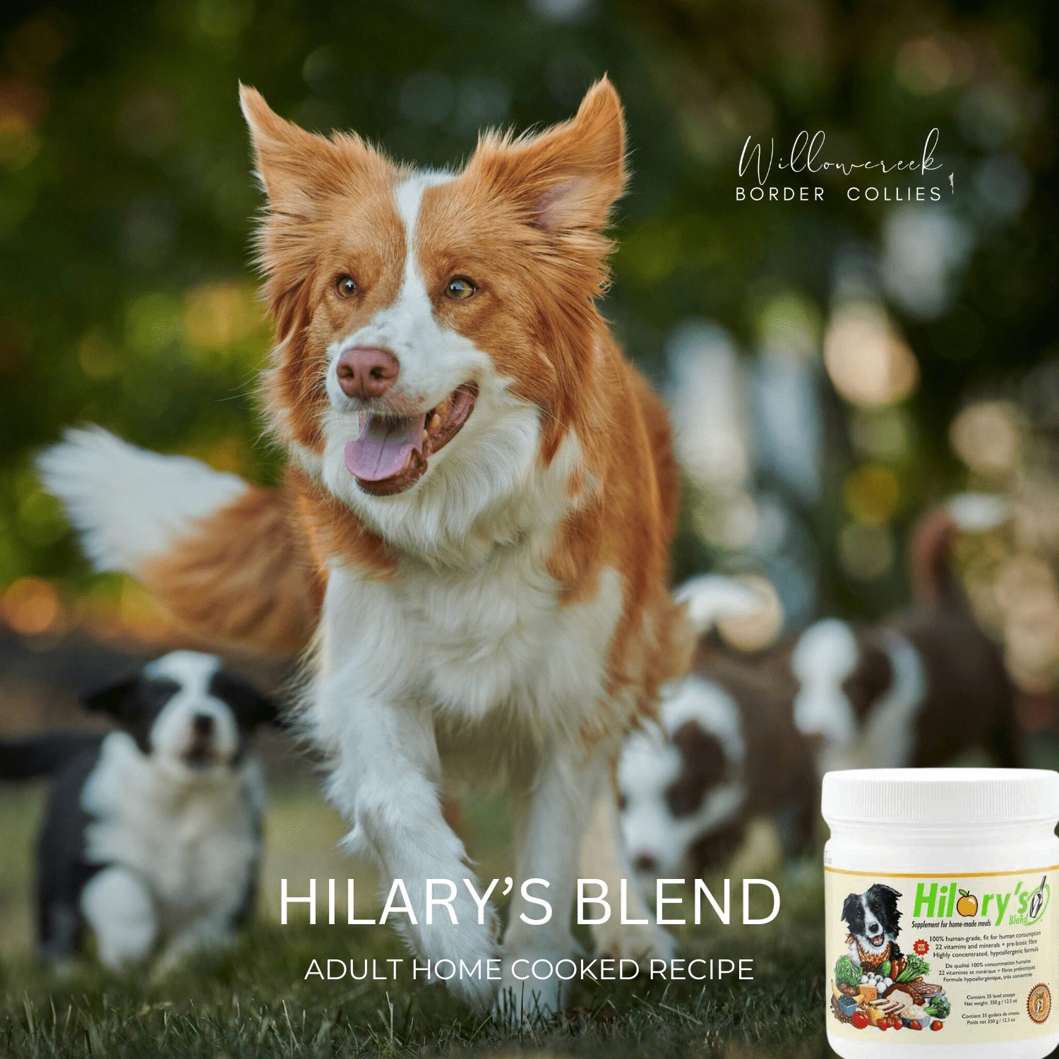 Hillary’s Blend Supplement For Homecooked