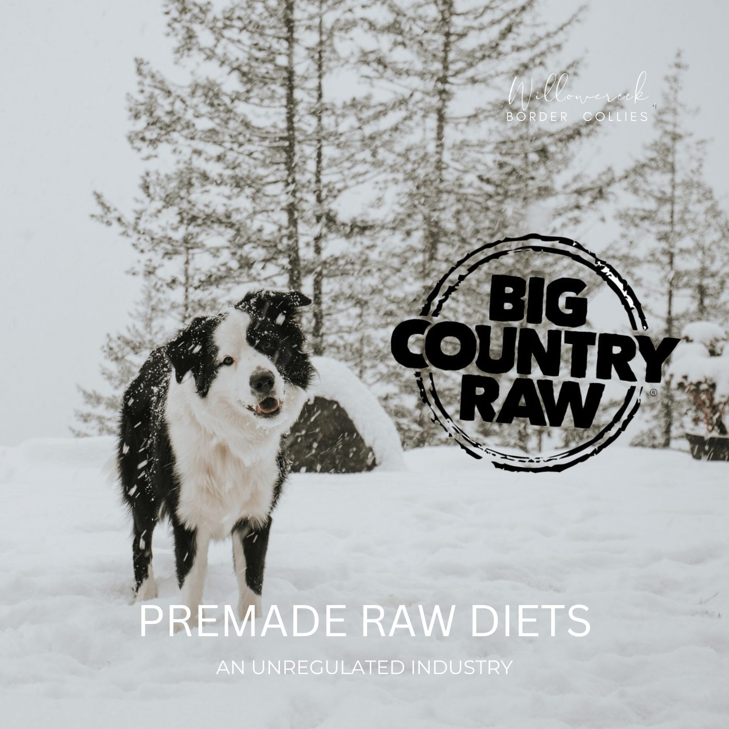 Navigating Pre-made Raw Food | Myths and the Need for Caution