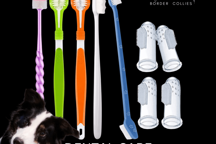 Puppy Dental Care | Tooth Brushes and Baking Soda, Simple as that!