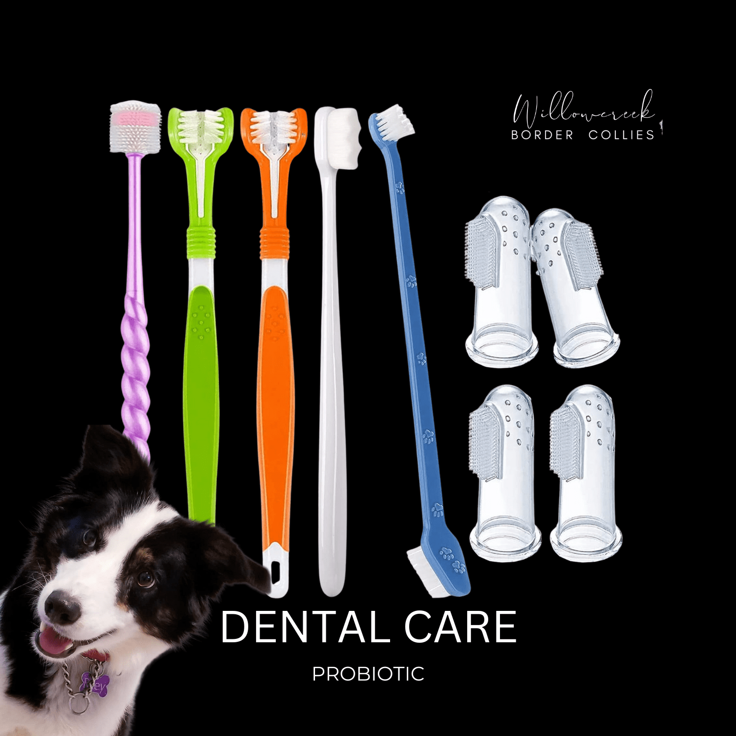 Puppy Dental Care | Tooth Brushes and Baking Soda, Simple as that!
