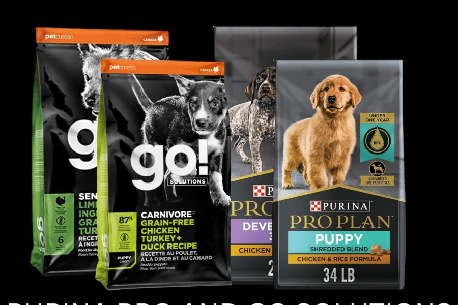 Kibbles and brand name options for your puppy