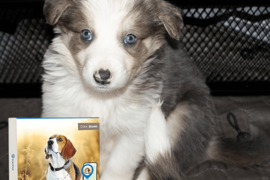 Puppy Checklist Must Have:  Tractive GPS Tracker