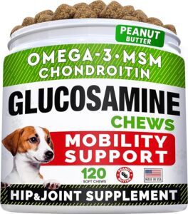 BEST VITAMINS AND SUPPLEMENTS FOR YOUR BORDER COLLIE