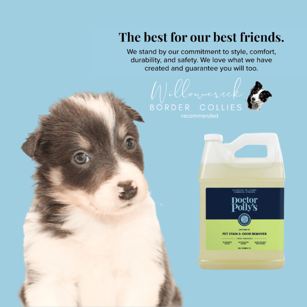 Puppy Checklist Must Have: Natural, Safe Enzyme Cleaner.