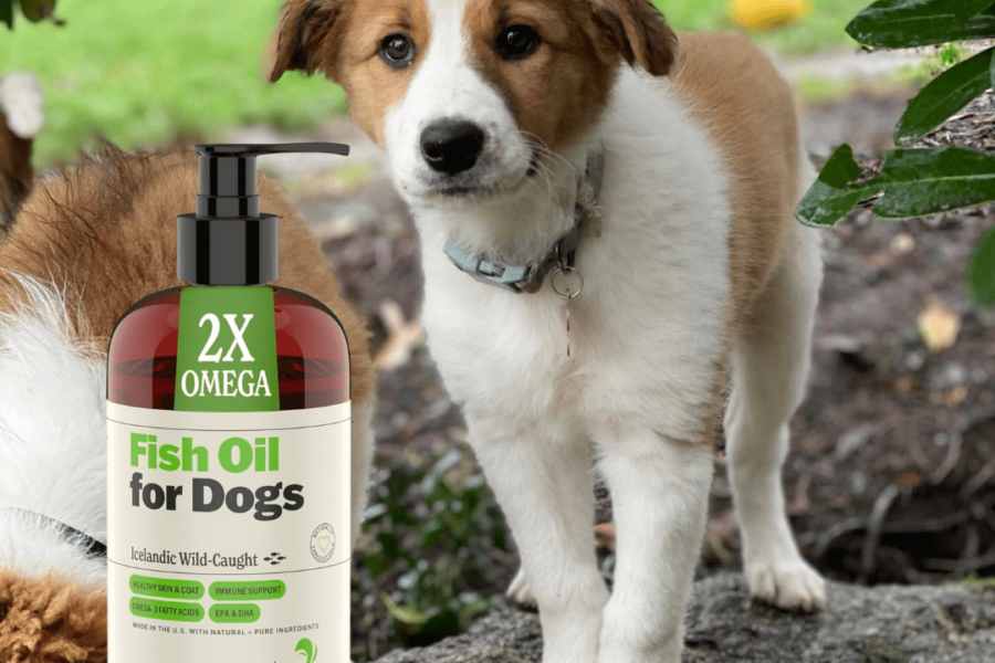 DHA Supplements for Dogs. Wild Caught Fish Oil for Dogs – Omega 3-6-9