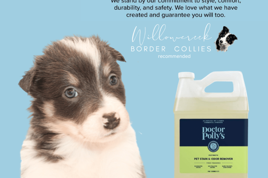 Puppy Checklist Must Have: Natural, Safe Enzyme Cleaner