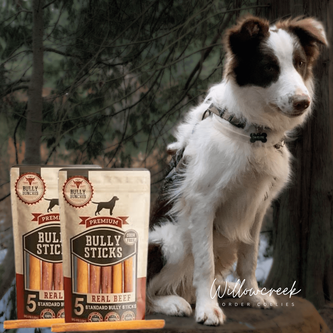 bully sticks | recommended bully sticks | Canadian Made
